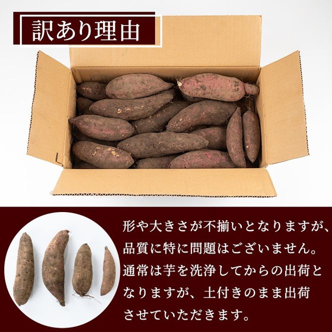 【0073609a】＜訳あり＞自慢の農家×老舗青果店の土付き生芋(紅はるか・5kg) 鹿児島 お芋 サツマイモ 薩摩芋 生芋 焼き芋 おかず スイーツ【有留青果】