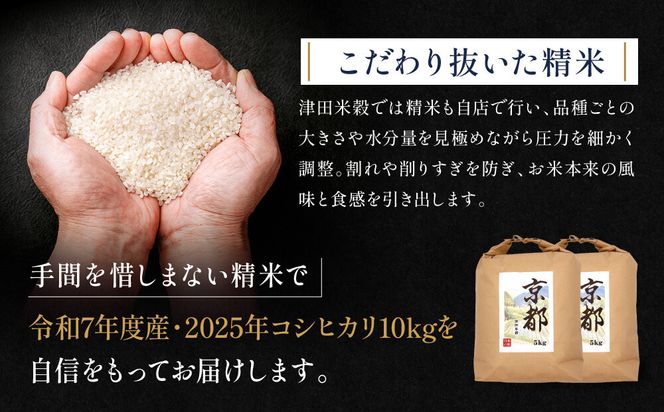 【津田米穀】五つ星お米マイスター監修 藤野さんが育てたコシヒカリ 10kg｜令和7年度産コシヒカリ 白米 こだわり抜いた精米 人気［ コシヒカリ お米本来の風味と食感 おすすめ グルメ おいしい コメ お取り寄せ 通販 送料無料 ふるさと納税 ］ 261009_A-AAE015