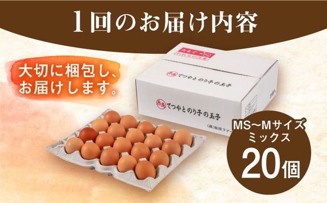 【全3回定期便】てつやとのりこの玉子 【 20個 】 糸島市 / 板垣ファーム 卵 たまご 鶏卵[AWD016]