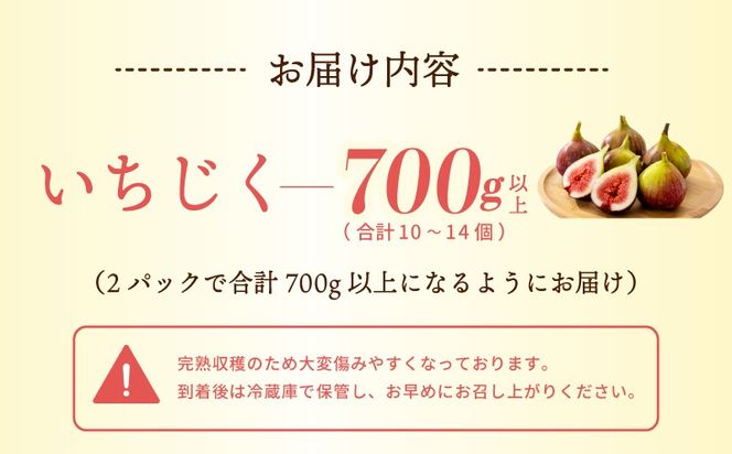 099H4538 【先行予約】【農家直送】朝採り 完熟いちじく 700g以上