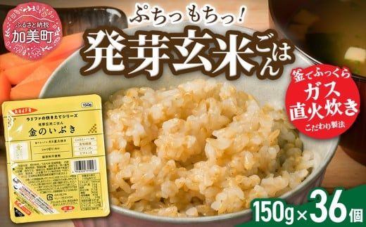 玄米 パックご飯 宮城県産「 金のいぶき 」発芽玄米 パック ごはん ( 150g × 12個 ×3箱　計36個)  金のおいしさ! ＜ 宮城のブランド玄米 ＞[ JA加美よつば農業協同組合 宮城県 加美町　yo-pg-kin-36s] レトルト ごはん ご飯 レトルトごはん レンジ レンチン かんたん パックライス ライス 米 簡単 お手軽 備蓄 非常食 防災グッズ