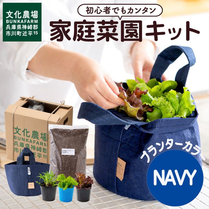 011BK03N.はじめての家庭菜園キット「サラダガーデン」（プランター色：ネイビー）