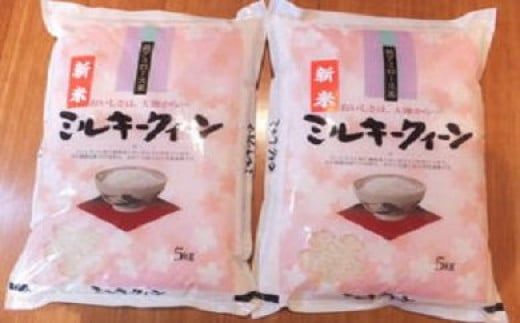 【新米】令和8年産 近江米ミルキークイーン【10kg（5kg×2袋）】【T030W4】（滋賀県　近江八幡市）