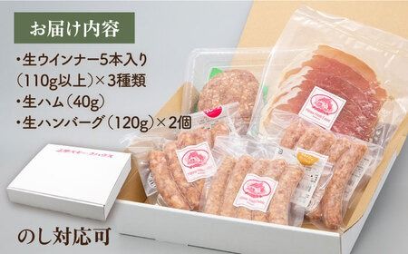 【年内発送】 特製 生ハンバーグ 生ハム 生ウインナー 3種 セット 糸島市 / 志摩スモークハウス [AOA028] セット 生ハム ウインナー ハンバーグ ウィンナー 肉 ギフト