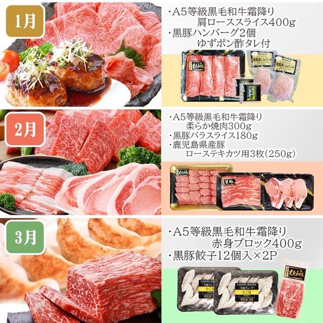 定期便(1年で10回配送)枕崎お楽しみ便(A5等級黒毛和牛・黒豚・黒豚加工品etc) II-6002 【1166753】