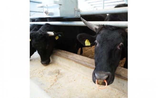 藤増 しまね和牛モモ スライス 700g【冷蔵】 322032_DS023