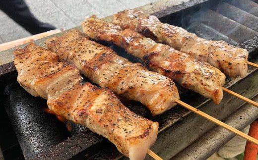 FYN6-191 【月山maltポーク】山形県産バーベキュー用ジャンボ豚バラ串 3本 豚肉 山形県 西川町