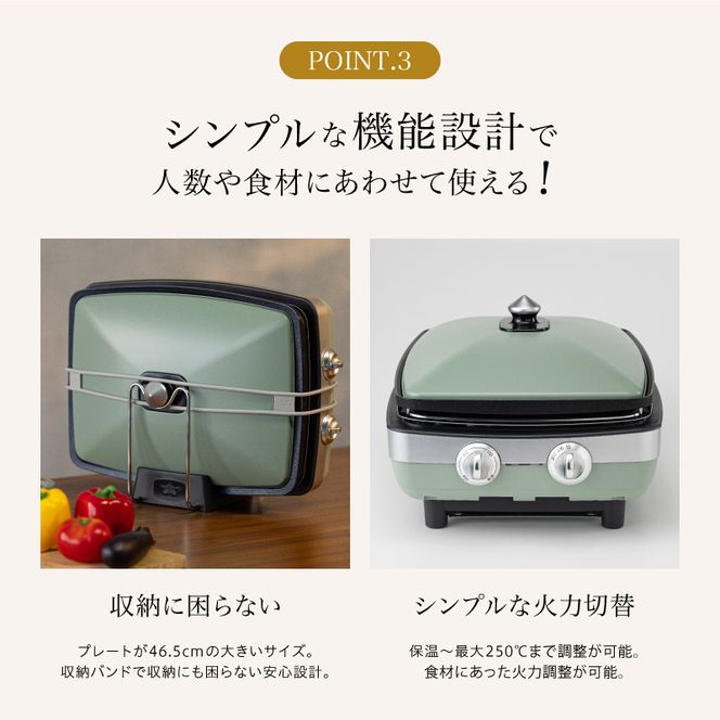 アラジン 訳あり 特別寄附額 グリーン 緑 グラファイトマジックグリラー Plus AMG-G1300A 過年度モデル Aladdin グラファイト マジックグリラー グリラー plus グラファイトグリラー ホットプレート 卓上プレート 調理家電