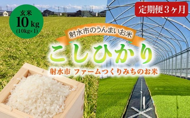 【3ヶ月定期便】【射水市】【射水の美味しいお米】ファームつくりみちのお米 作道米 R8年度産こしひかり10kg（10kg×1）【玄米】 | 米 こめ コメ こしひかり ブランド米 銘柄米 人気 ランキング 富山 富山米 北陸 北陸米 富山コシヒカリ 北陸コシヒカリ 玄米コシヒカリ 10キロ 10キロ米 10kg 10kg米 ※離島への配送不可