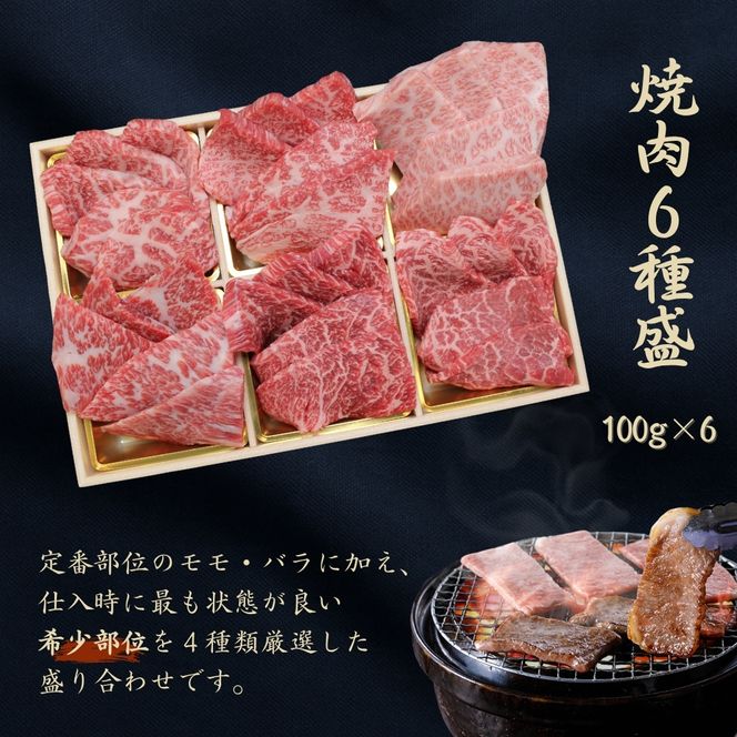 黒毛和牛 【京の肉】 希少部位入り焼肉セット梅 6種盛 600g(100g×6) 京都府産 和牛 牛肉 ブランド牛 三角バラ 焼肉  鉄板焼 国産 小分け 冷凍 ギフト 敬老の日 お歳暮 ご褒美 南丹市 グルメ