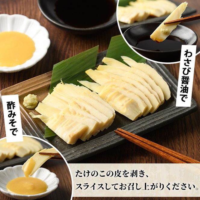 ＜先行予約受付中！2027年3月上旬以降順次発送予定＞ 【平日着】お刺身たけのこ(計1kg) 国産 鹿児島県産 朝採れ タケノコ 竹の子 筍 真空パック 野菜 春 旬 【上野食品】akn008-06-A