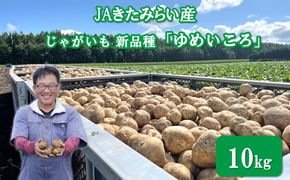 【予約：2026年12月～2027年1月発送】JAきたみらい産 じゃがいも 新品種「ゆめいころ」 10kg 冷蔵 ( じゃがいも いも 芋 JA 北海道産 )【236-0002】