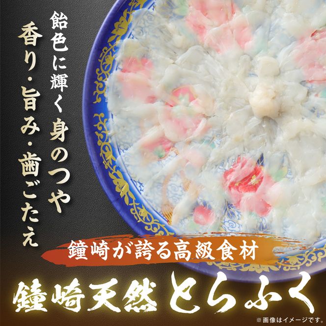 漁師お勧め！天然 とらふぐ てっさ（お刺身セット）2～3人前【宗像漁協】_HA0467