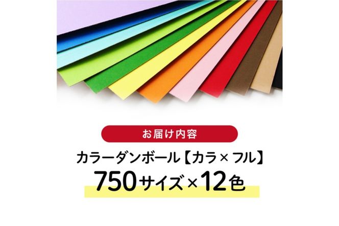 カラーダンボール【カラ × フル】12色セット 750サイズ【0063-001】