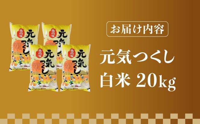 【先行予約】【令和7年産】福岡県産ブランド米「元気つくし」白米 20kg (5kg×4袋)【2025年11月以降順次発送】《築上町》【株式会社ゼロプラス】 [ABDD005]  
