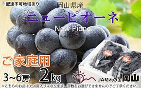 ぶどう 2026年 先行予約 ご家庭用 ニュー ピオーネ 3～6房 約2kg ブドウ 葡萄 岡山県産 国産 フルーツ 果物 岡山のぶどう 旬のフルーツ 旬の果物 大粒 種無し