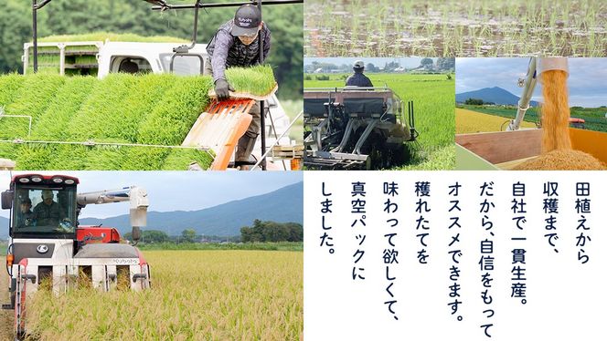 食べくらべ　精米 4種　真空 2700g ×４袋 令和7年産 米 お米 コメ 茨城県 新生活 応援 コシヒカリ ミルキープリンセス にじのきらめき つきあかり 食べ比べ　 [EX003ci]