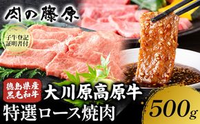大川原高原牛 特選ロース 焼肉 500g 冷凍便 肉の藤原《90日以内に出荷予定(土日祝除く)》和牛 希少 大川原高原 牛肉 焼肉 ロース 贅沢 バーベキュー BBQ キャンプ ギフト 贈答 徳島県 佐那河内村---sanagouchi_nfw_15_500g---