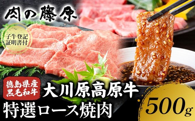 大川原高原牛 特選ロース 焼肉 500g 冷凍便 肉の藤原《90日以内に出荷予定(土日祝除く)》和牛 希少 大川原高原 牛肉 焼肉 ロース 贅沢 バーベキュー BBQ キャンプ ギフト 贈答 徳島県 佐那河内村---sanagouchi_nfw_15_500g---