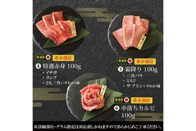 宮崎牛！特選！食べ比べ焼肉6種盛り(合計600g)国産 宮崎県産 牛肉 お肉 ロース カルビ 赤身 特選赤身 霜降り 中落ちカルビ 冷凍【AP-14】【日向屋】