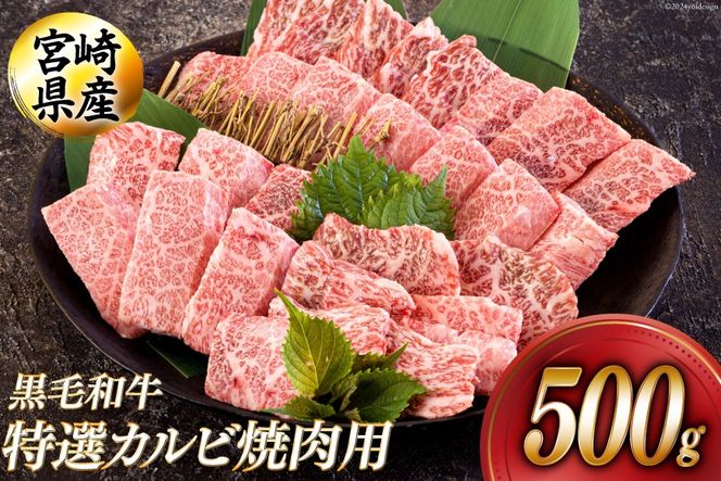 黒毛和牛 特選 カルビ 焼肉 500g [アグリ産業匠泰 宮崎県 美郷町 31be0024] 牛肉 炒め BBQ バーベキュー キャンプ 普段使い 調理 おかず 料理 国産 送料無料 パック 厳選 カルビ丼 クッパ 焼肉丼 スープ チャーハン 生春巻き マリネ 照り焼き 甘辛炒め チンジャオロース 青椒肉絲