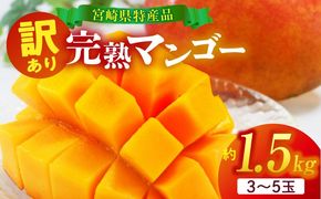 訳あり 宮崎県産 完熟マンゴー 合計約1.5kg（3～5玉）