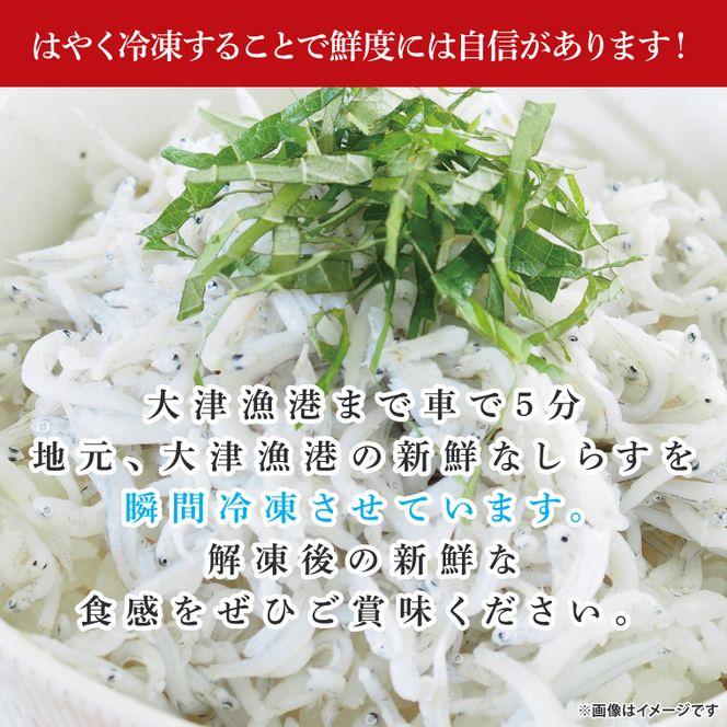 【訳あり】瞬間冷結！刺身用生しらす 200ｇ×5パック【大津港産】【シラス しらす丼 新鮮 魚介 瞬間冷凍 冷凍保存 長期保存 小分け 北茨城市 茨城県】（AA212）