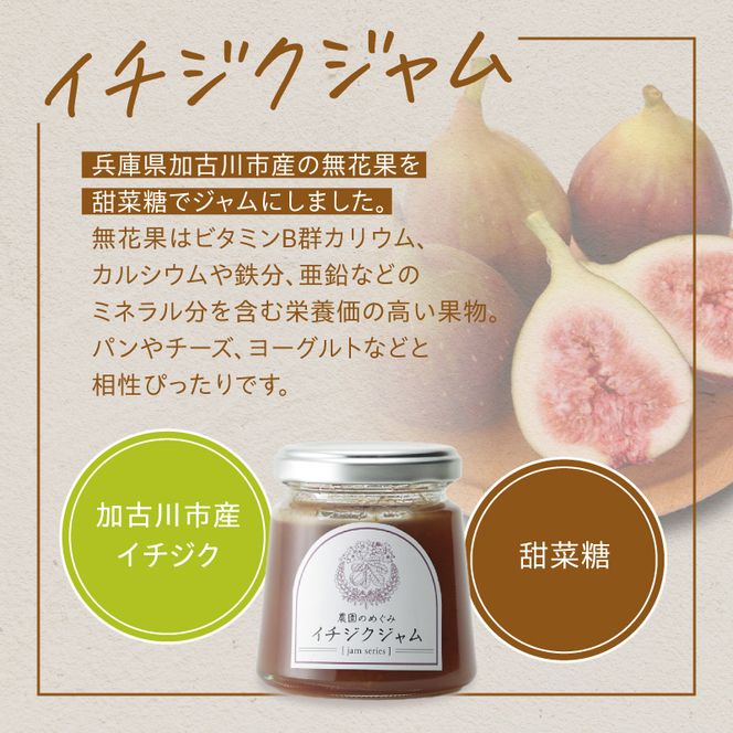 たかみくらファーム 発芽玄米グラノーラとイチジクジャム《 グラノーラ サクサク食感 ノンオイル グルテンフリー 発芽玄米 ジャム 》【2500I16504】