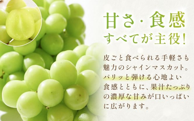 【2026年先行予約】 岡山県産 シャインマスカット＆桃 セット 約2kg 花田青果【8月中旬～9月中旬まで順次発送予定】/ 葡萄 ぶどう 果物フルーツ 詰め合わせ【hnds011】