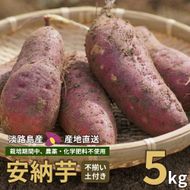 【産地直送】安納芋（淡路島産）土付き　約5kg　不揃い【栽培期間中、農薬・化学肥料不使用】さつまいも