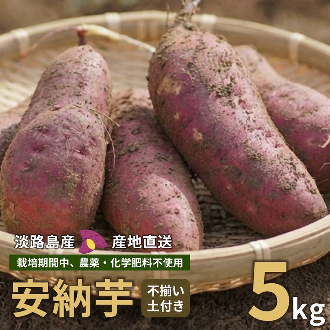 【産地直送】安納芋（淡路島産）土付き　約5kg　不揃い【栽培期間中、農薬・化学肥料不使用】さつまいも