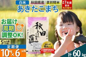 【白米】＜令和7年産 新米予約＞ 《定期便6ヶ月》秋田県産 あきたこまち 10kg (5kg×2袋)×6回 10キロ お米【お届け周期調整 隔月お届けも可】 新米|02_snk-010606s