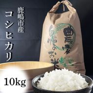 【令和7年産】安心安全のお米！特別栽培米コシヒカリ（10kg）【茨城県 お米 こしひかり 産地直送 おいしい ごはん 】（KAV-6）