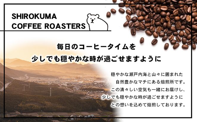 自家焙煎珈琲豆専門店のおうちコーヒー（ブラジルショコラ） 300g コーヒー豆 コーヒー粉 
