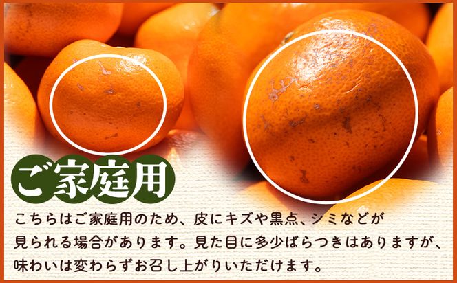 みかん 【2026年10月下旬発送】露地みかん(2S～Mサイズ) 5kg 家庭用 （傷み補償分 ＋約100g） - 果物 くだもの フルーツ 果実 柑橘 かんきつ 蜜柑 期間限定 om-0003