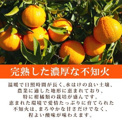 【2027年先行予約】不知火 5kg デコポン 柑橘の王様 甘い プリプリ ジューシー 濃厚 フルーツ 果実 果物 柑橘 紀州有田産 国産 食品 食べ物 お取り寄せ 魚鶴商店 和歌山県 湯浅町 送料無料_G7356