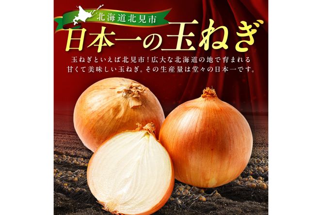 【予約：2025年12月から順次発送】北見市産玉ねぎ使用 味付け豚肉 味噌タレ 300g×3個 ( 肉 豚肉 たまねぎ タマネギ 焼肉 )【224-0004】
