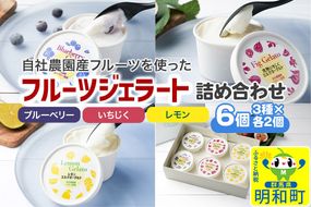 自社農園産フルーツジェラート詰め合わせ　6個|10_egf-050601