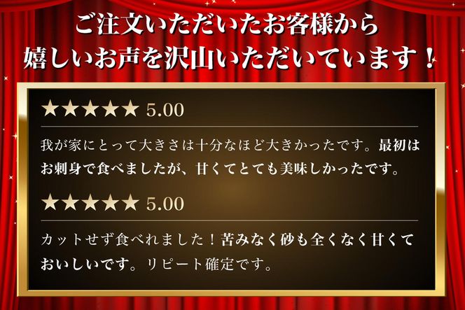 【 2ヵ月 定期便 】北海道 訳あり 冷凍 帆立 貝柱 1.1kg (各回1.1kg×2ヶ月分,合計約2.2kg)  刺身 新鮮 魚貝類 