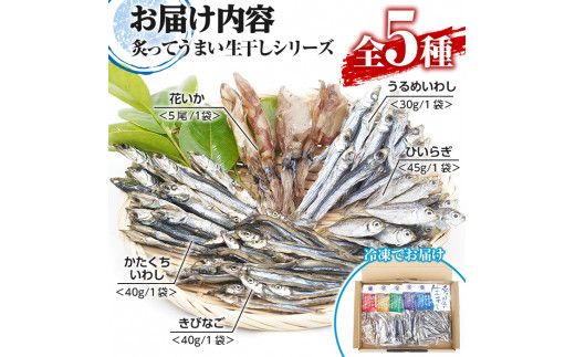 鹿児島県阿久根市産！生干しシリーズ(5種)国産 生干し おつまみ おかず 魚介 魚貝 海産物 干物 ひもの【マルフク川畑水産】akn029-03
