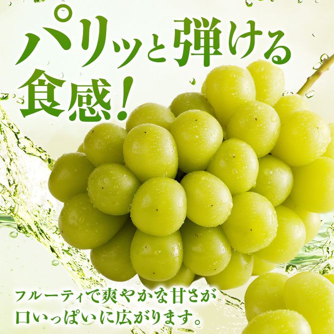 【2026年先行受付】 シャインマスカット 晴王 秀品 特大 約2kg 2房 岡山県産 ぶどう 葡萄 ブドウ ギフト 御礼 プレゼント 御礼 御祝 御供 果物 くだもの フルーツ
