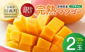 【令和9年発送】【宮崎県産】訳あり・ご自宅用　完熟マンゴー2玉 【 果物 フルーツ マンゴー 宮崎県産 みやざきマンゴー 訳あり 先行予約 数量限定 期間限定 】 [B03717]
