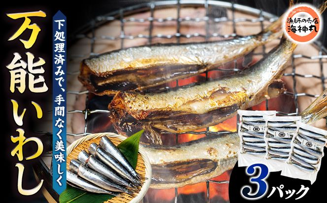 万能いわし 8匹 (約160g～180g) × 3袋 下処理済み