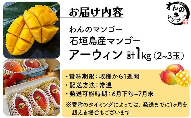 <わんのマンゴー>石垣島産マンゴー【アーウィン】NA-03