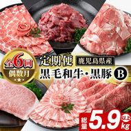 ＜定期便・全6回(偶数月)＞鹿児島県産 黒毛和牛・黒豚 定期便 B (総量5.9kg以上) 国産 鹿児島県産 黒豚 しゃぶしゃぶ 肩 ロース スライス 訳あり 切り落とし 黒毛和牛 サーロイン ステーキ 黒豚 バラ カタ ウデ 小分け セット 【スターゼン】akn042-37