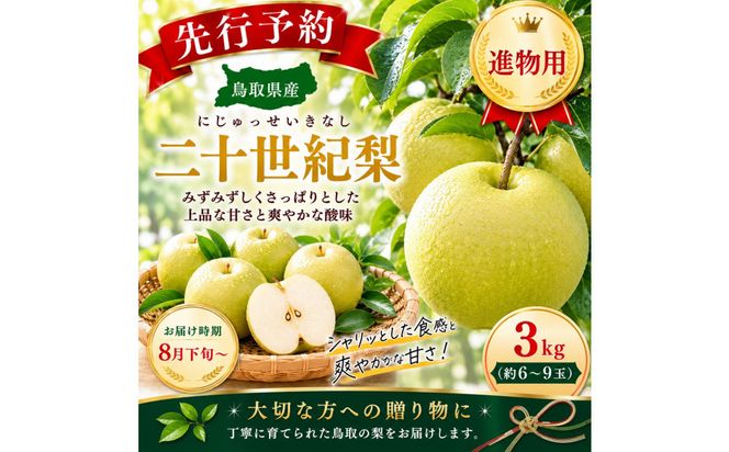 三ツ田農園 二十世紀梨(赤秀)3kg【8月下旬以降お届け】 313726_CY009