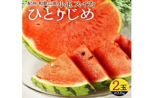 紀州和歌山産 小玉スイカ「ひとりじめ」2玉[予約] ※2027年5月下旬頃〜6月下旬頃に順次発送予定(お届け日指定不可) スイカ すいか 果物 くだもの フルーツ[uot779C]