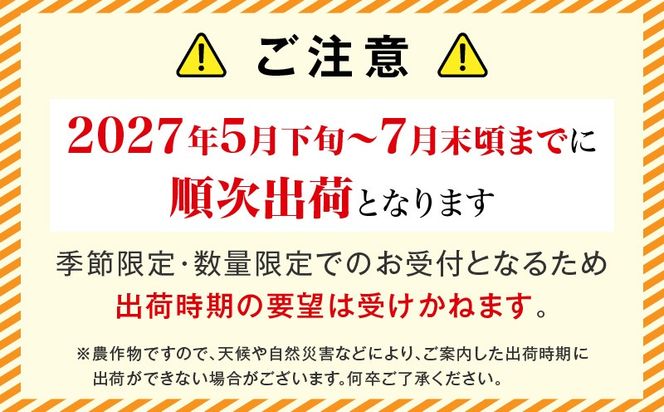 【先行予約 2027年発送分】訳あり 宮崎県産 完熟マンゴー 合計約1.5kg（3～5玉）_kn119-003