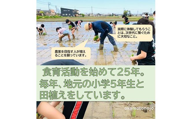 2022年日本農業賞「大賞」【４カ月連続】お米農家のわくわく便(4種類×4.5kg精白米） コシヒカリ 