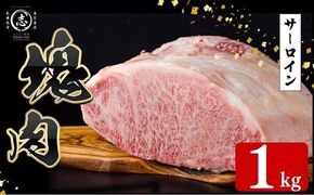 塊肉シリーズ サーロイン 計1kg(1kg×1個) wa42-001